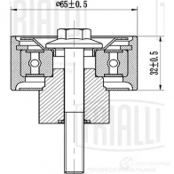Ролик приводного ремня TRIALLI H 6GI9NM 1438152766 cm0779