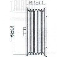 Ролик приводного ремня TRIALLI 1438152779 cm5263 K4 M75RM