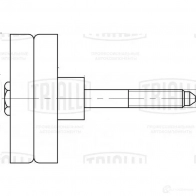 Паразитный ролик приводного ремня TRIALLI CM 5085 CX DM6Z8 1438152813