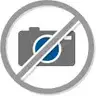 Тормозной диск ST-TEMPLIN CH98DI 1225455588 53.111.35200 VM AKA