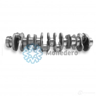 Коленвал MONEDERO 20011000005 1VFR M1R 1437629111