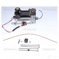 Компрессор пневмоподвески TRISCAN 1437861518 872529101 S81J D - Изображение 2
