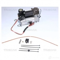 Компрессор пневмоподвески TRISCAN 1437861518 872529101 S81J D - Изображение 5