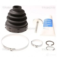 Пыльник шруса, ремкомплект TRISCAN 5710476109910 GD 9JQ Ford S-Max 854016923