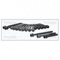 Болты ГБЦ, головки блока цилиндров TRISCAN Volkswagen Passat IT Z0E6 5709147638712 988526