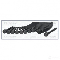 Болты ГБЦ, головки блока цилиндров TRISCAN 5709147595145 Kia Carnival 983302 T GGBB84