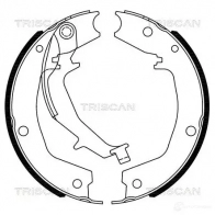 Тормозные колодки ручника, комплект TRISCAN 5710476080516 810018011 VVL RE 1114843