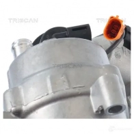 Клапан ЕГР TRISCAN 1437957224 V47QS F 881329321 - Изображение 2
