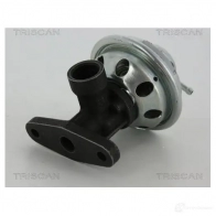 Клапан ЕГР TRISCAN 5710476205650 881329050 Volkswagen Bora (A4, 1J2) 4 Седан H IZC1