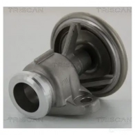 Клапан ЕГР TRISCAN 5710476238054 881323201 1158869 BVJXI YR - Изображение 1