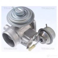 Клапан ЕГР TRISCAN 1437957717 GHG GZ 881310034 - Изображение 3