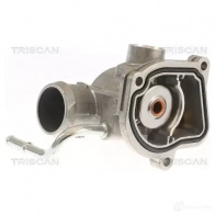 Термостат ож TRISCAN DBR 10P 1148658 5709147608999 862020387 - Изображение 3
