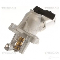 Термостат ож TRISCAN Y1WKZ 8 862054297 1438752480