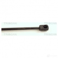 Амортизатор капота TRISCAN 1153947 5709147844809 ARIN OI 871023106 - Изображение 3