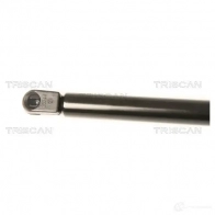 Амортизатор капота TRISCAN 1153955 F9V AM2K 5710476019400 871023113 - Изображение 2