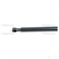 Амортизатор капота TRISCAN CX JCWY2 5709147834787 1154504 871038103 - Изображение 2