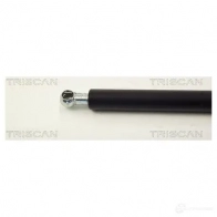 Амортизатор заднего стекла TRISCAN 4N0D3 GN 871011217 1153488 5709147701768 - Изображение 2