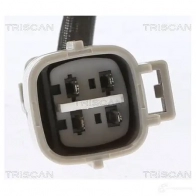 Лямбда зонд, кислородный датчик TRISCAN 884513065 B 3RDM 1437950077 - Изображение 2