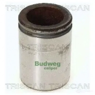 Поршень тормозного суппорта TRISCAN 8170234414 Renault Master 2 (FD, JD, ED) 1997 – 2010 O6RIV WL 5705444149937