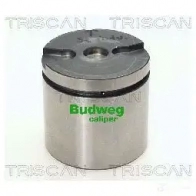 Поршень тормозного суппорта TRISCAN SA0 AP1 Citroen C5 2 (RC, RE, PF3) 2004 – 2008 8170235473 5705444208306