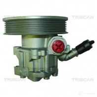 Гидроусилитель, насос гур TRISCAN 5710476093509 2OH2 5C Land Rover Range Rover 851517615