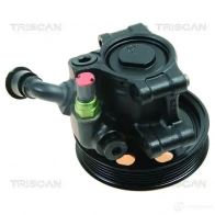 Гидроусилитель, насос гур TRISCAN Ford Focus 1 Хэтчбек 1.6 16V 100 л.с. 1998 – 2004 851516626 06Z M0FH