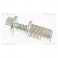 Болты гайки подвески TRISCAN 1437866478 38M1 D38 850010412