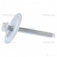 Болты гайки подвески TRISCAN E N3Y29 1437866724 850029413