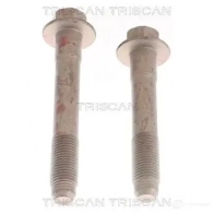 Болты гайки подвески TRISCAN JXCEJ N 1437868924 850010410