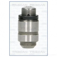 Гидрокомпенсатор, толкатель клапана TRISCAN T A2FT 8042002 8427769455124 Mitsubishi Galant 8 (EA2W) Универсал 2.5 V6 24V (EA5W) 160 л.с. 2000 – 2003