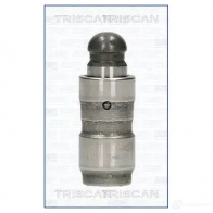 Гидрокомпенсатор, толкатель клапана TRISCAN Nissan Serena (C23) 1 1991 – 2000 8029011 8P Y8G 5710476257086