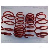 Комплект пружин подвески TRISCAN 7394410023180 Audi A6 (C4) 1 1994 – 1997 O5 7JPK 875529013