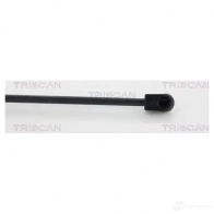 Амортизатор багажника, упор задней двери TRISCAN 871017212 FM RXR 5710476019349 1153847 - Изображение 3