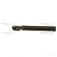 Амортизатор багажника, упор задней двери TRISCAN G CM1Y 5710476003805 871028240 1154286 - Изображение 2