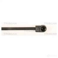Амортизатор багажника, упор задней двери TRISCAN G CM1Y 5710476003805 871028240 1154286 - Изображение 3