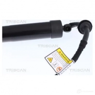 Амортизатор багажника, упор задней двери TRISCAN 871017301 1424358220 0S YKZ 5710476317797 - Изображение 4