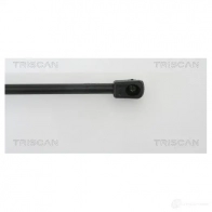 Амортизатор багажника, упор задней двери TRISCAN 871023210 1153981 5709147578704 L DY05 - Изображение 3