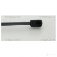 Амортизатор багажника, упор задней двери TRISCAN NE1DL 3 871038245 5710476292780 1213705074 - Изображение 2