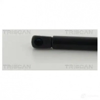 Амортизатор багажника, упор задней двери TRISCAN NE1DL 3 871038245 5710476292780 1213705074 - Изображение 3