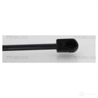 Амортизатор багажника, упор задней двери TRISCAN Z 1S187 5710476142559 871017221 1153856 - Изображение 2