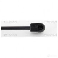 Амортизатор багажника, упор задней двери TRISCAN 1154176 5710476094896 C0J HX 871025258 - Изображение 3