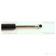 Амортизатор багажника, упор задней двери TRISCAN T4 AW7B 5709147349748 871025212 1154132 - Изображение 3