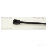 Амортизатор багажника, упор задней двери TRISCAN WA 6EUN 5709147101438 87101616 1153758 - Изображение 3