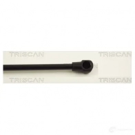 Амортизатор багажника, упор задней двери TRISCAN Q LRP5U 5709147833926 871012210 1153537 - Изображение 3
