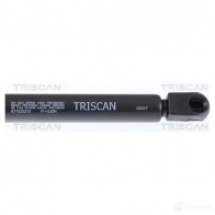 Амортизатор багажника, упор задней двери TRISCAN NQ4MIP 9 871025219 5709147355923 1154139 - Изображение 2