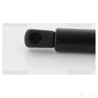Амортизатор багажника, упор задней двери TRISCAN I DQOWNF 871024236 5710476003843 1154075 - Изображение 3