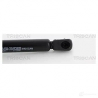 Амортизатор багажника, упор задней двери TRISCAN 5710476082480 871023223 1153994 B 9OS62V - Изображение 3