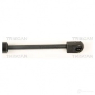 Амортизатор багажника, упор задней двери TRISCAN F9Z 4QQ 871027219 5710476003928 1154228 - Изображение 3