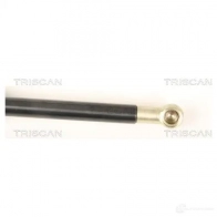 Амортизатор багажника, упор задней двери TRISCAN 1154575 871040231 LRYU EB 5710476003645 - Изображение 3