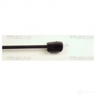 Амортизатор багажника, упор задней двери TRISCAN 871024216 IGQ 9RG0 1154056 5709147349625 - Изображение 3